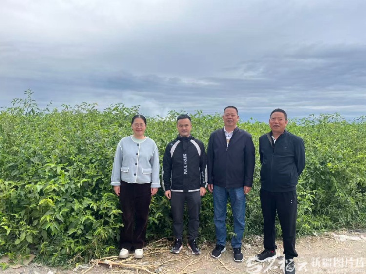 mmexport1772439068527